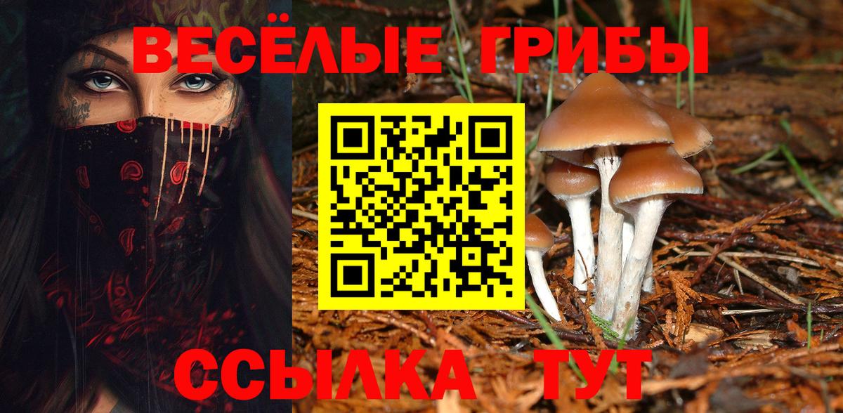 Печора  хочу наркоту  Вход с VPN  Галлюциногенные грибы Psilocybe  Псилоцибиновые грибы GOLDEN TEACHER 